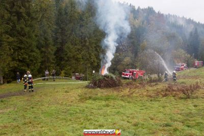Kliknij aby obejrzeć w pełnym rozmiarze