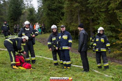 Kliknij aby obejrzeć w pełnym rozmiarze