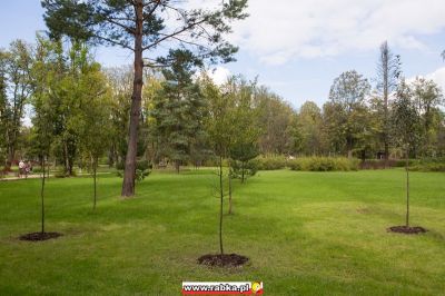 Kliknij aby obejrzeć w pełnym rozmiarze