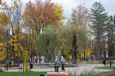Kliknij aby obejrzeć w pełnym rozmiarze
