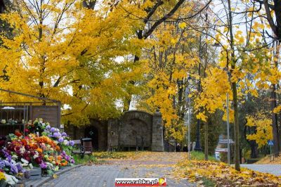 Kliknij aby obejrzeć w pełnym rozmiarze