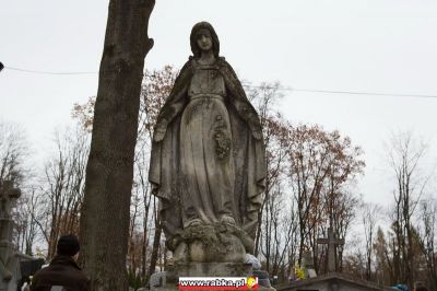 Kliknij aby obejrzeć w pełnym rozmiarze