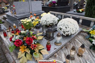 Kliknij aby obejrzeć w pełnym rozmiarze