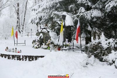 Kliknij aby obejrzeć w pełnym rozmiarze
