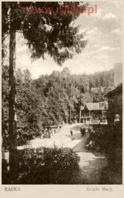 Kliknij aby obejrzeć w pełnym rozmiarze