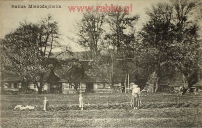 Kliknij aby obejrzeć w pełnym rozmiarze