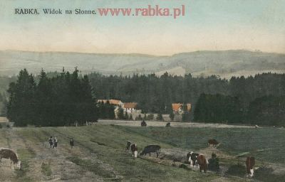 Kliknij aby obejrzeć w pełnym rozmiarze