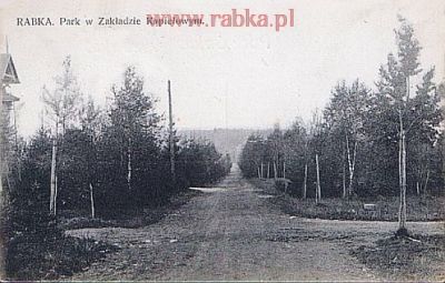 Kliknij aby obejrzeć w pełnym rozmiarze