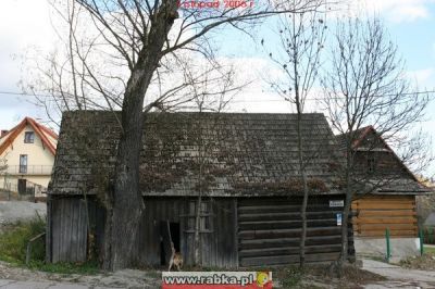 Kliknij aby obejrzeć w pełnym rozmiarze